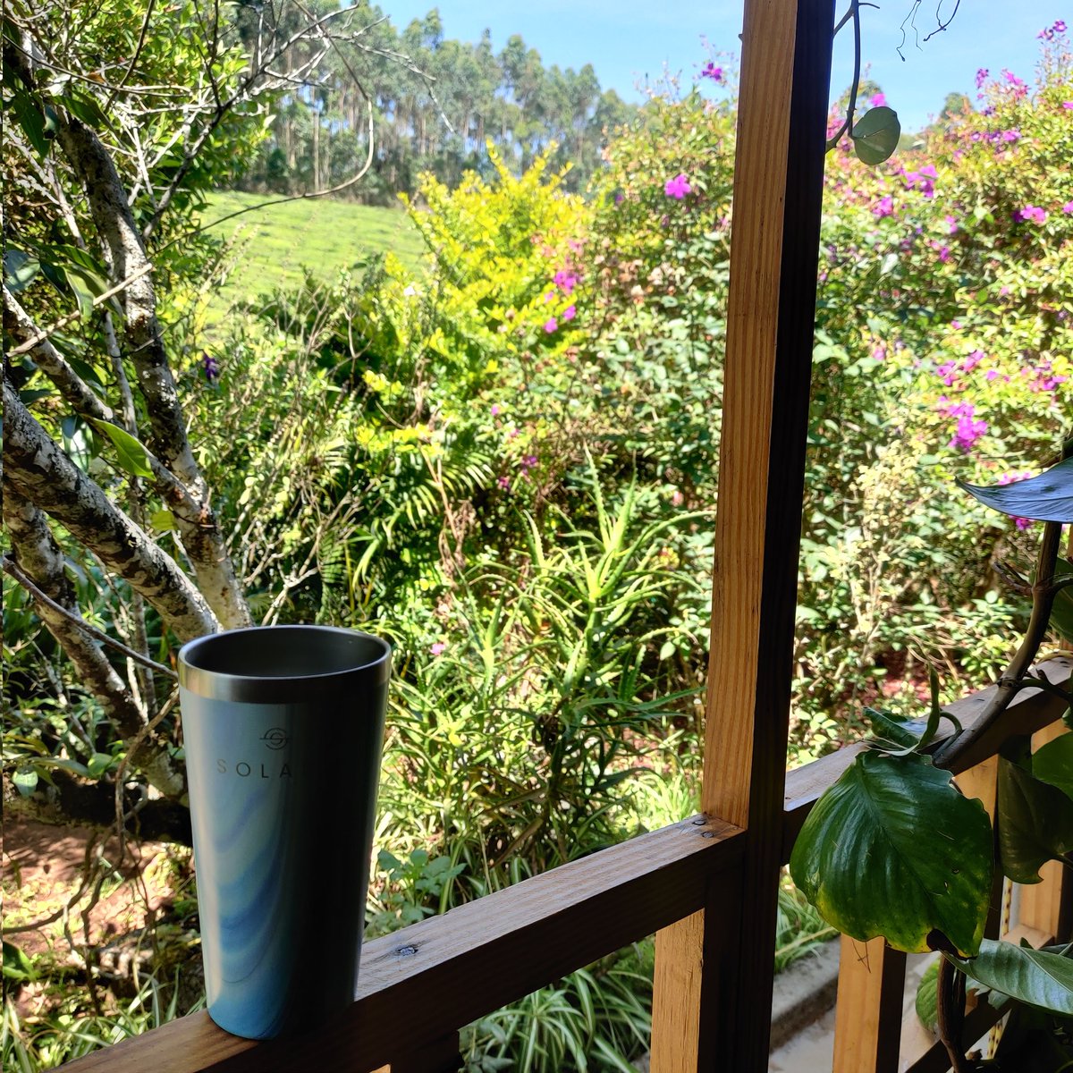 0xmindfulliving's tweet photo. GM coffee lovers 🤎 https://t.co/SDVL804vQq