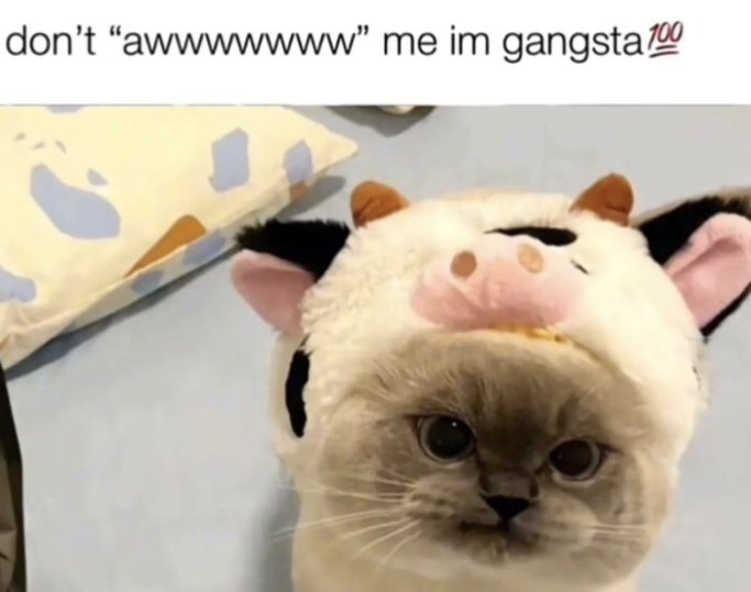 Rusty_Mater's tweet image. 💯💯