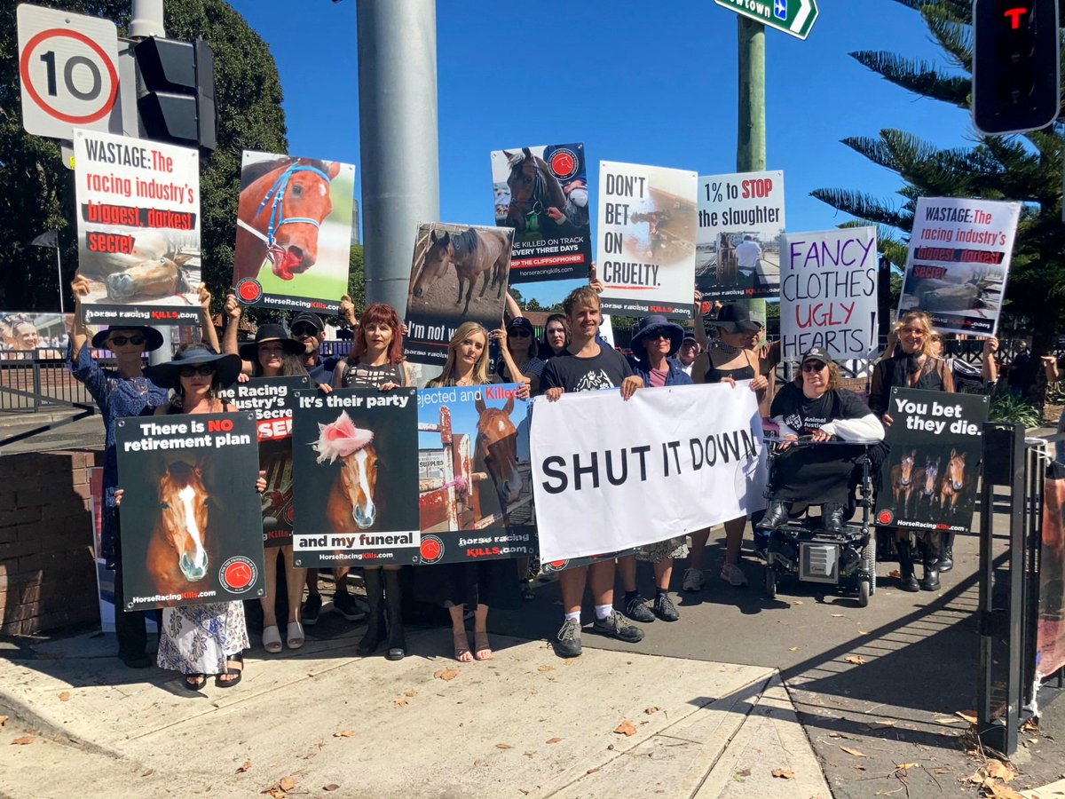 Randwick Races went ahead today despite 230mm of rain making for dangerous conditions. 

It guess profit comes before safety. We were there to call it out. 

Horse Racing Kills.