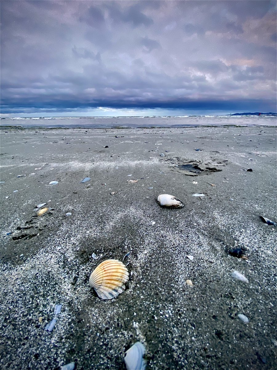 Chris Flynn tweet media