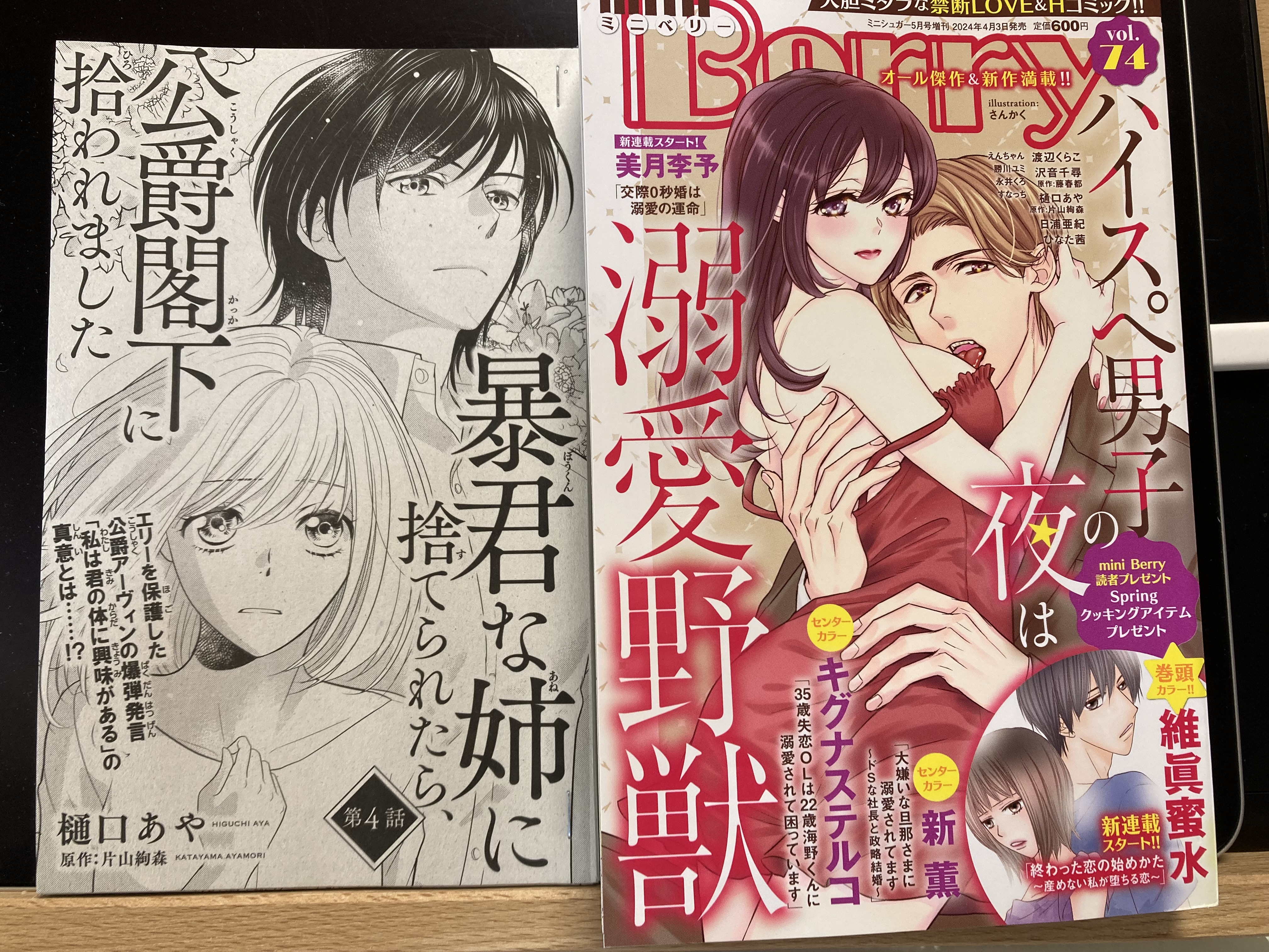 暴君な姉に捨てられたら、公爵閣下に拾われました 2 - 検索 / X