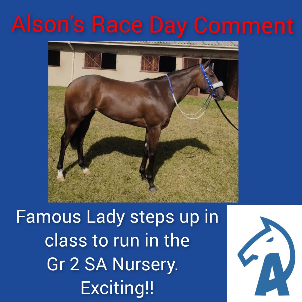 AlsonRacing's tweet photo. Race Day Comment 🏇 https://t.co/XIEV6imgiS