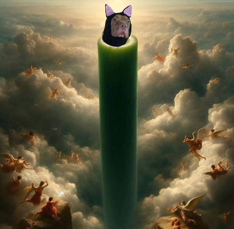 SecretlyACat0x's tweet photo. Long $SAC https://t.co/akAN56Nyx9