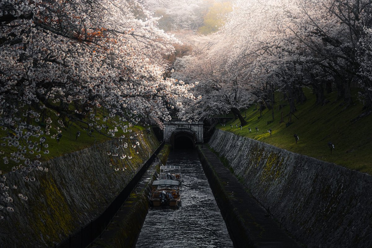 水路に差し込む光 #琵琶湖疏水　#東京カメラ部