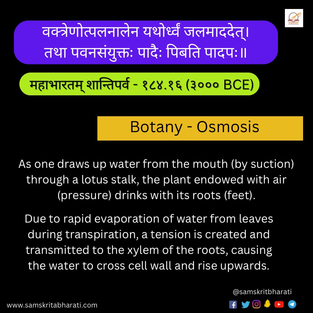 ज्ञानभाषा संस्कृतम् - विज्ञानम् . . . #samskrit4all #samskritweek23 #संस्कृत #Sanskrit #Samskrit #Knowledge #Sanskrit4Youth #ज्ञानभाषा #संस्कृतवार्ताः #वार्तावली #Sayyestosanskrit #भाषाप्रवेशः #जयतु_संस्कृतम्_जयतु_भारतम्