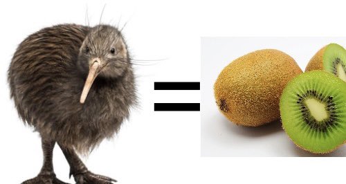 Crazy crackpot theory, but I’ve never seen a dead kiwi and I’ve never seen a kiwi plant, what if the birds just turn into the fruit when they die?