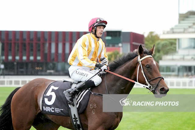 Neil Farley rode his first Australian stakes winner aboard Gold Wolf for @FeekRacing in the listed Galilee Series Final (2400m) at Caulfield on Saturday. Farley's previous big win came in the Scottish Sprint Cup (5f) at Musselburgh in June 2015 as a 1.5kg-claiming apprentice.