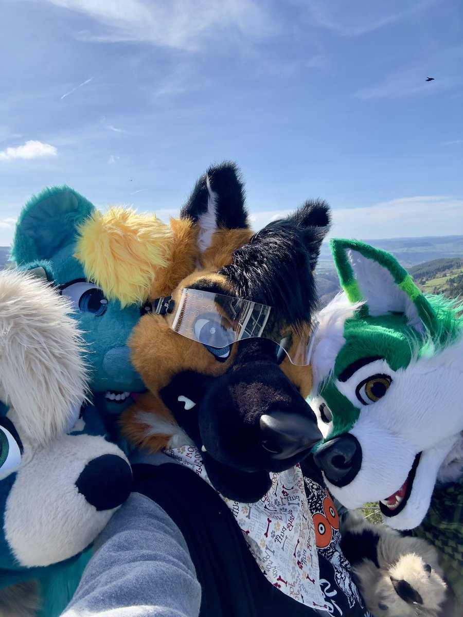 At the wolf’s parc with friends! @ColtArokaii @CorentinWolf @SpliteWh