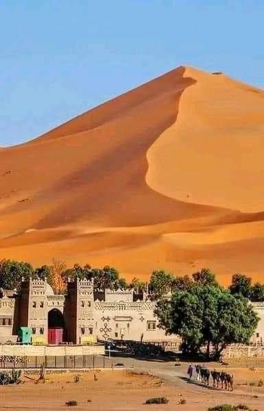#merzouga #desert 🏜 🐫#maroc #morocco #moroccannature 👑🇲🇦
