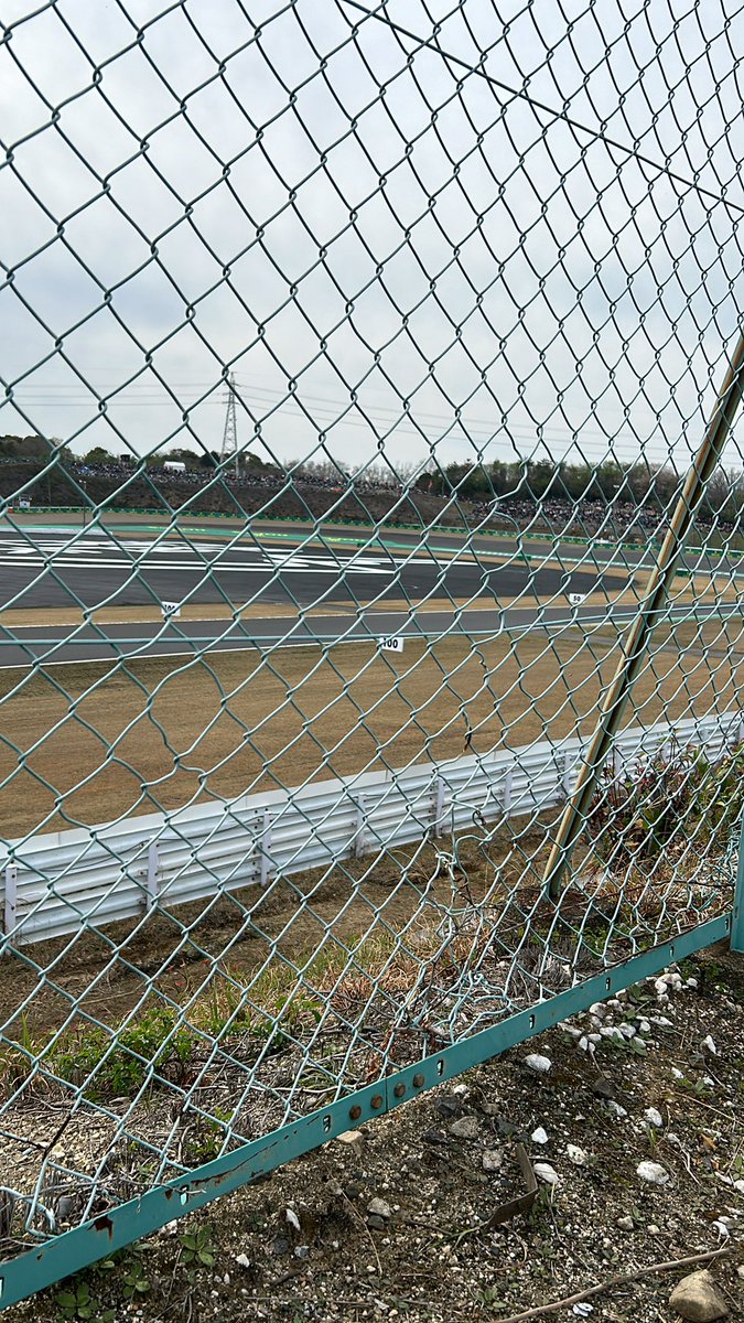 Anthony Ridge tweet media