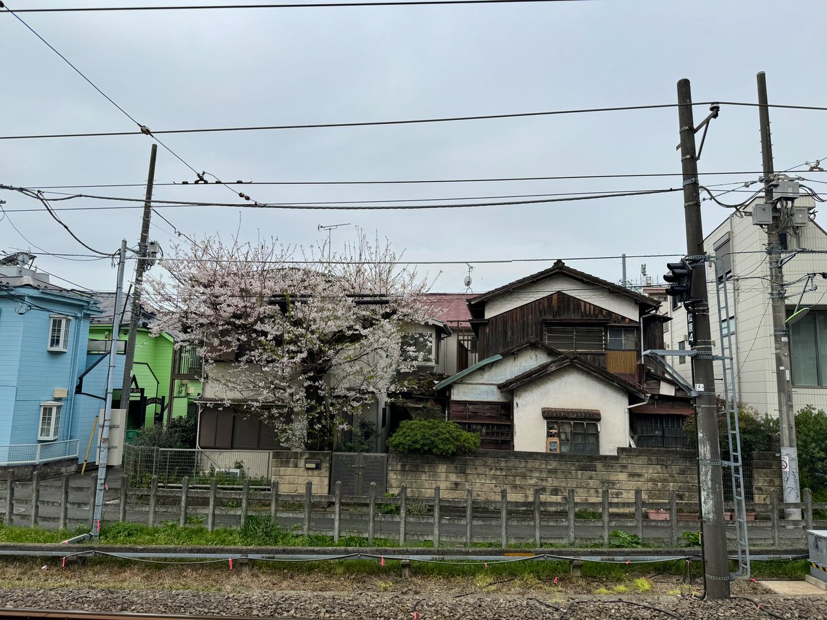 kazooki42's tweet photo. みて！聖地に行ってきた！
踏切手を上げて渡りたかったけど
1人だからできなかった。。 https://t.co/FNZjdMresk