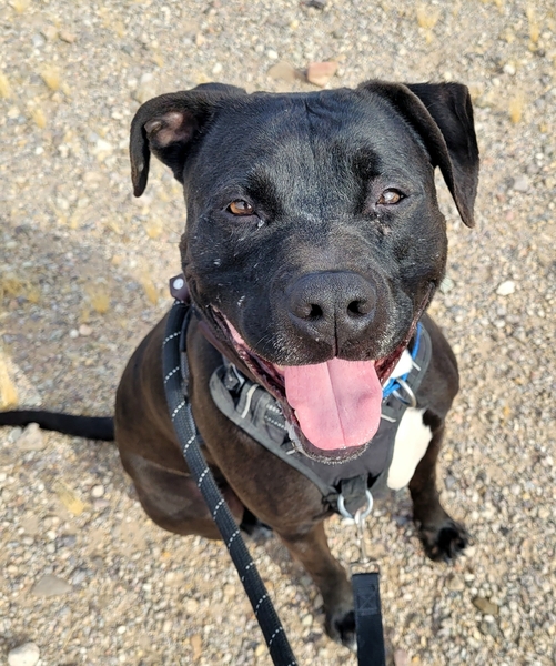 Erin Christiansen tweet media