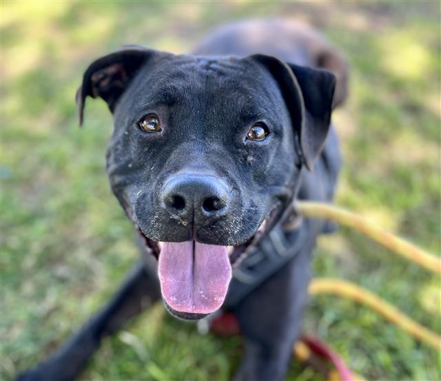 Erin Christiansen tweet media