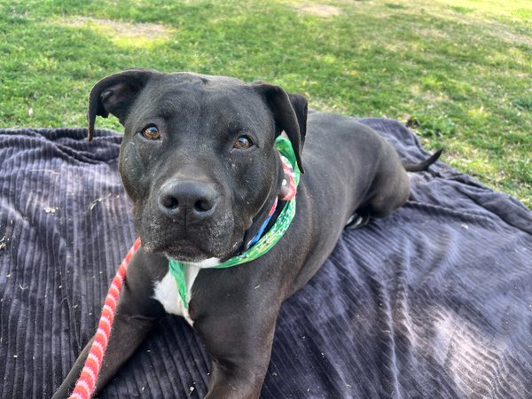 Erin Christiansen tweet media