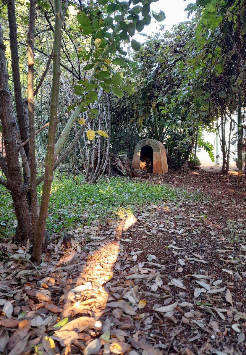PatFurstenberg's tweet photo. Day 8
Nothing in there. Not anymore.
#walking #mypeakchallenge #walkingtrail #AlphabetChallenge #weekN #mobileph https://t.co/CZ82Gulita