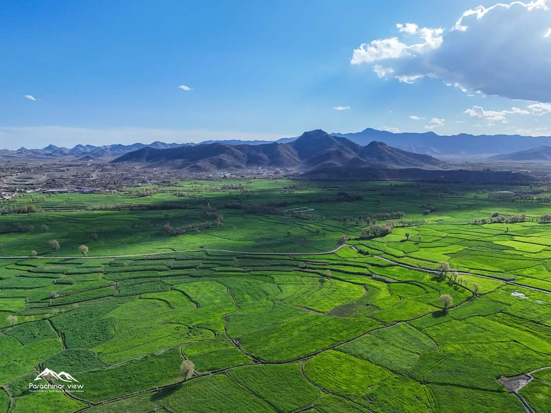 'Fields of MaliKhel: A Bird's Eye View' 😍🌾🌱
#arielphotography #landscapephotography #Greenfield #dronephotography #parachinarbeauty #Parachinar #districtkurrum #pakistanbeauty #parachinarview #parachinardroneview #birdseyeview #malikhel