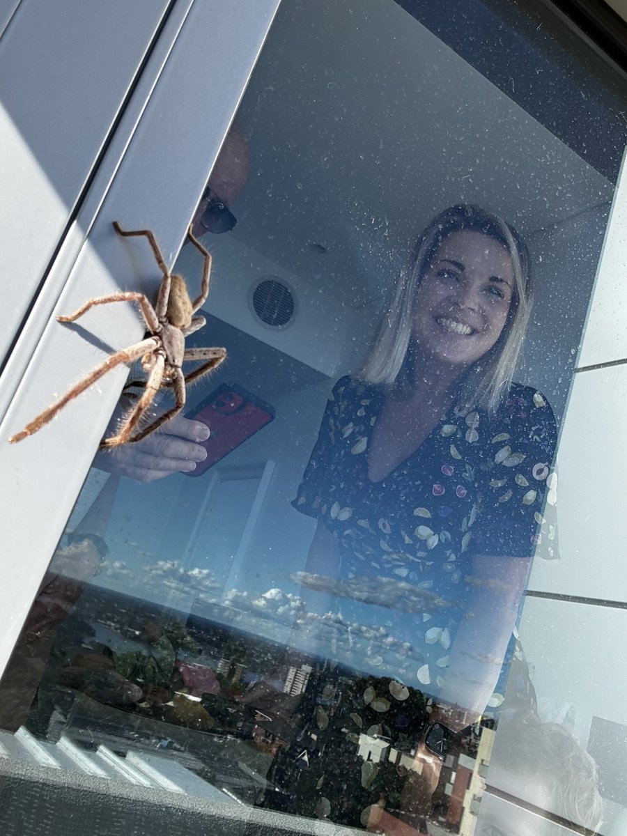 Simon Fleming 🛠 tweet media