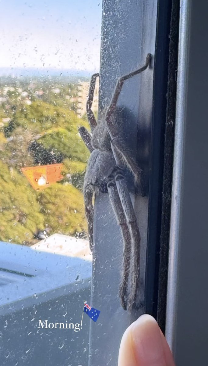 Simon Fleming 🛠 tweet media