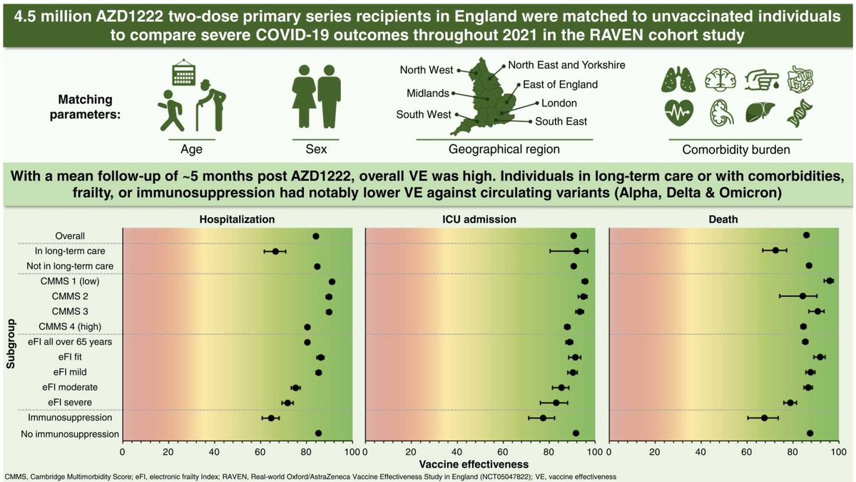 Thanks to all who contributed to this COVID-19 vaccine effectiveness (VE) study journalofinfection.com/article/S0163-… It demonstrates the success, but also how in some risk groups, comorbidities, frailty, immunosuppressed VE was lower. @clininf @rcgp .