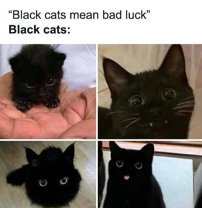 PunchingCat's tweet photo. https://t.co/lvhsnerHJC