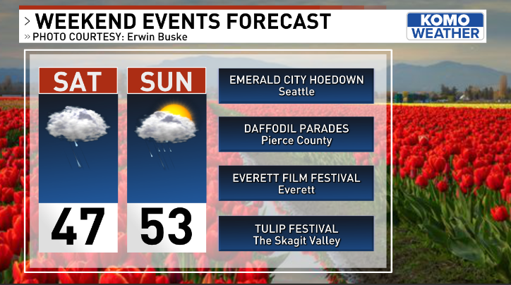 Heading to the Daffodil Parades or Tulip Festival? 🌷Wear your warmer rain gear--it will be a damp and chilly start to our first April weekend near Seattle. #WAwx