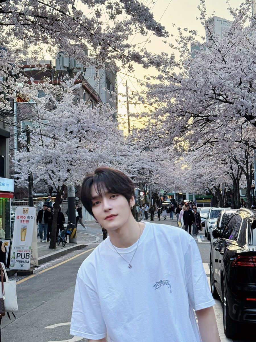 [#위시]

벚꽃 볼래?🌸

#EPEX #이펙스 #WISH #위시 #곽다윗 #다윗 #다위시