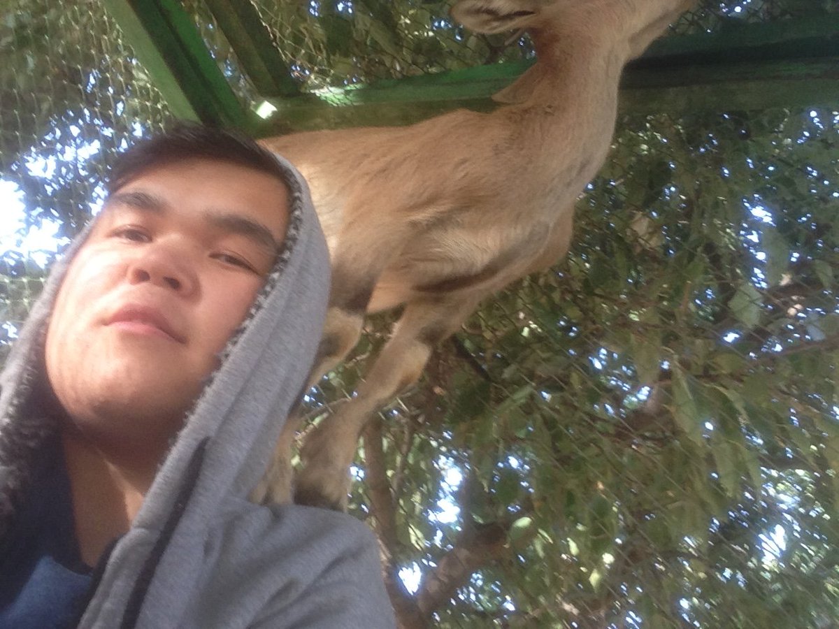 ramazan (@ramazan184025) on Twitter photo 