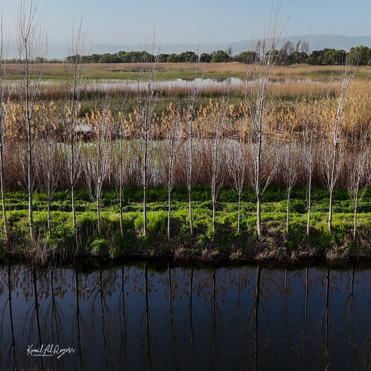 Consistency… 

#photography #photooftheday #love #instagram #photo #nature #picoftheday #like #photographer #beautiful #follow #art  #travel #bhfyp #photoshoot #likeforlikes #naturephotography  #me #smile #style #happy #likes #myself #followme