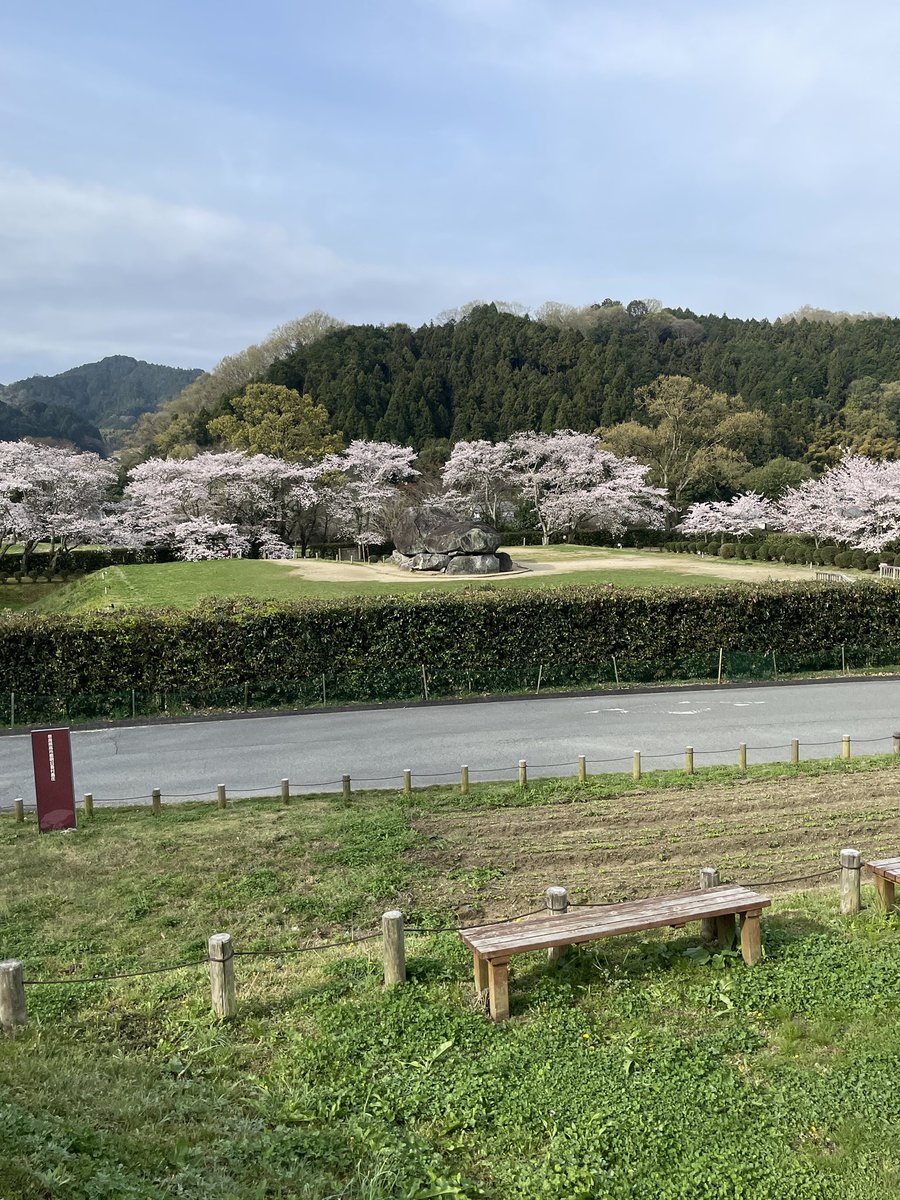 こんにちは。 今日は明日香村の石舞台古墳周辺を散歩しました。菜の花や桜が満開で、古墳も引き立って見えました。