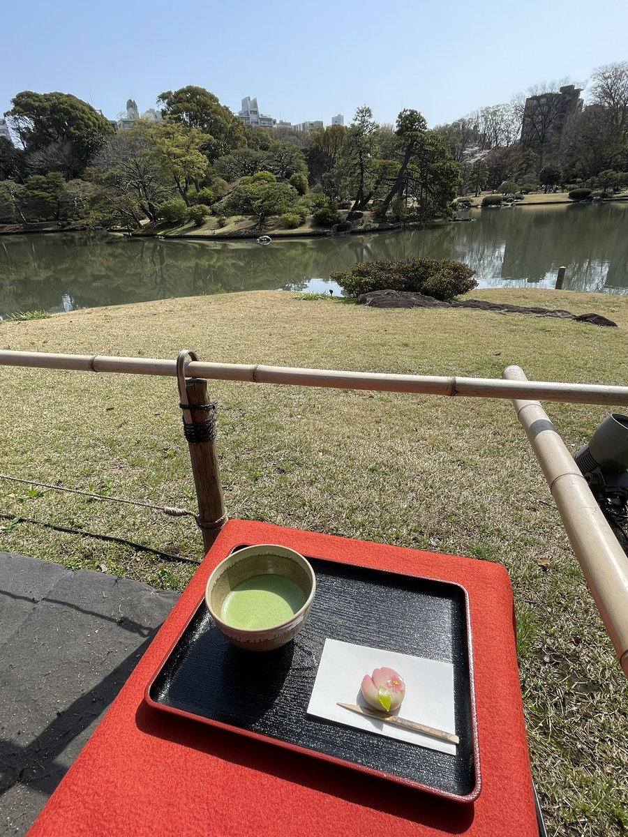 info_theiere's tweet photo. 数日前の写真ですが、六義園の桜もキレイでした。　#六義園 #しだれ桜 #枝垂れ桜 #日本庭園 #茶��� #抹茶 #薄茶 #駒込駅 #rikugien #tokyo https://t.co/1Hn8y4IGP5