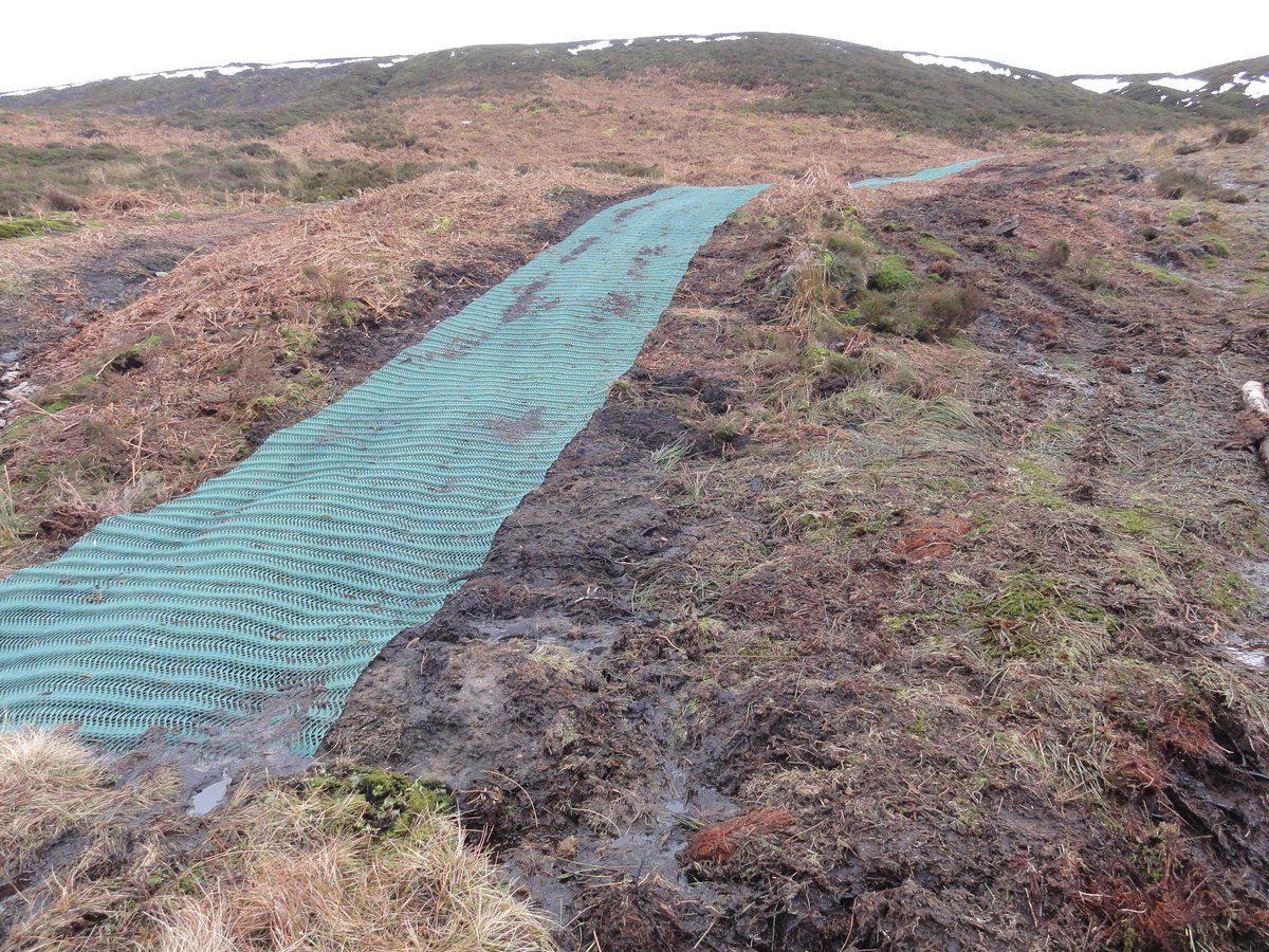 Guest blog - The Midhope Track by @BerzinsBob markavery.info/2024/04/06/gue… The sorry tale of habitat damage in the @peakdistrict and @NaturalEngland role. #grouse @MoorlandAssoc @TonyJuniper @MarianSpain @DefraGovUK @Campaign4Parks