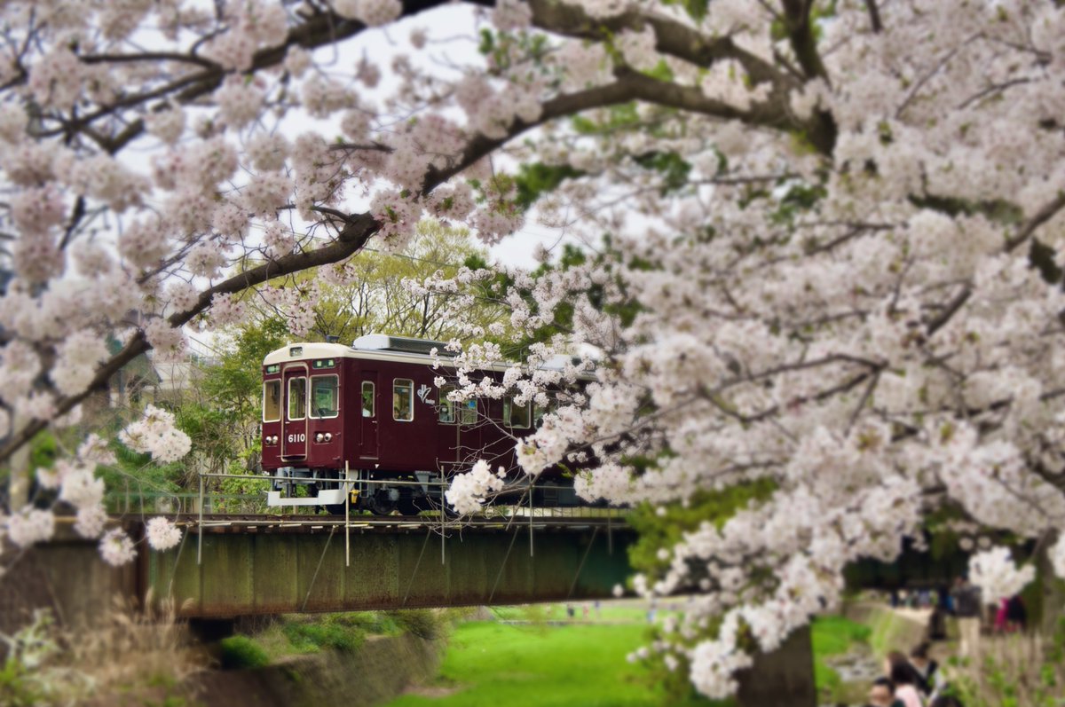 今日の一枚📸🌸 #阪急電車 #photo #桜2024