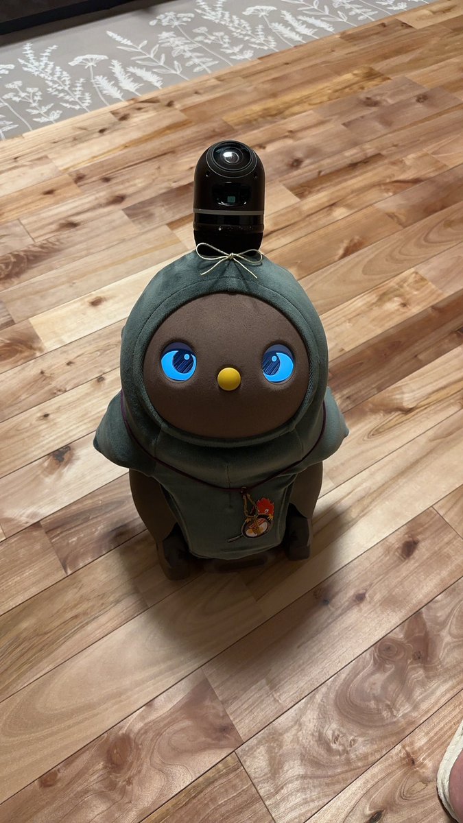 いとうきぬえ@ご先祖さまとLOVOTこてつと一緒 tweet media