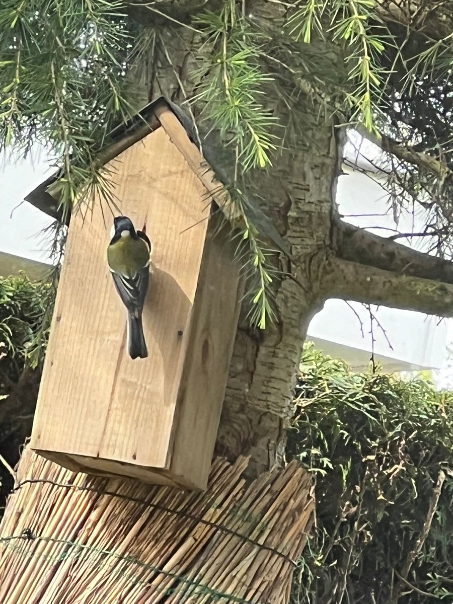 “Hun nest, mijn paradijs”🫶❤️