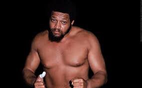 APFromNY's tweet photo. #TheUSExpress (#BarryWindham &amp; #MikeRotunda)
#ThunderboltPatterson
#LiaMaivia https://t.co/Z8GGNOTQ6s