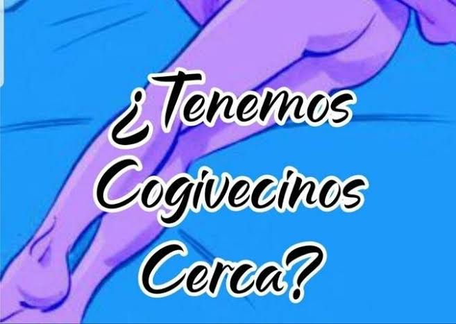 busco novio tweet media