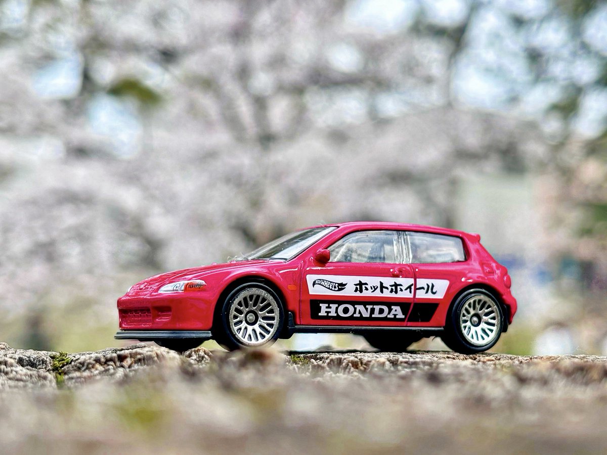 桜とシビック良すぎる🤩🌸 #ホットウィール #ミニカー #Honda #桜2024