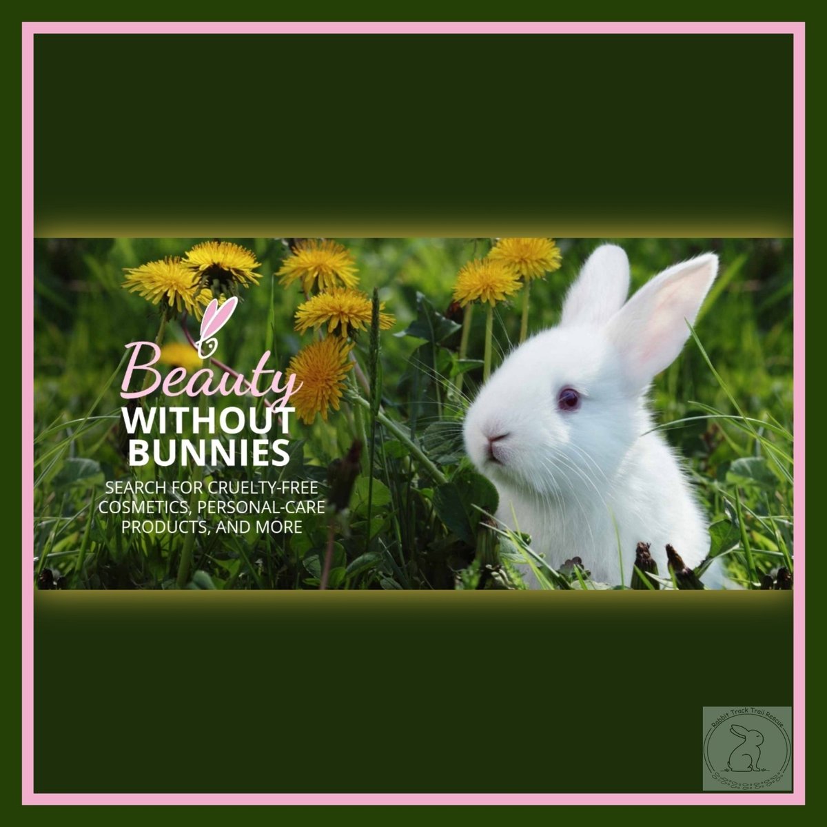 RabbitTTRescue's tweet photo. PLEASE... ONLY BUY CRUELTY FREE!
. 
. 
. 
#reseachfirst 📖
#adoptdontshop🐰❤️
#rabbittracktrailrescue https://t.co/yiEYoCgDyo