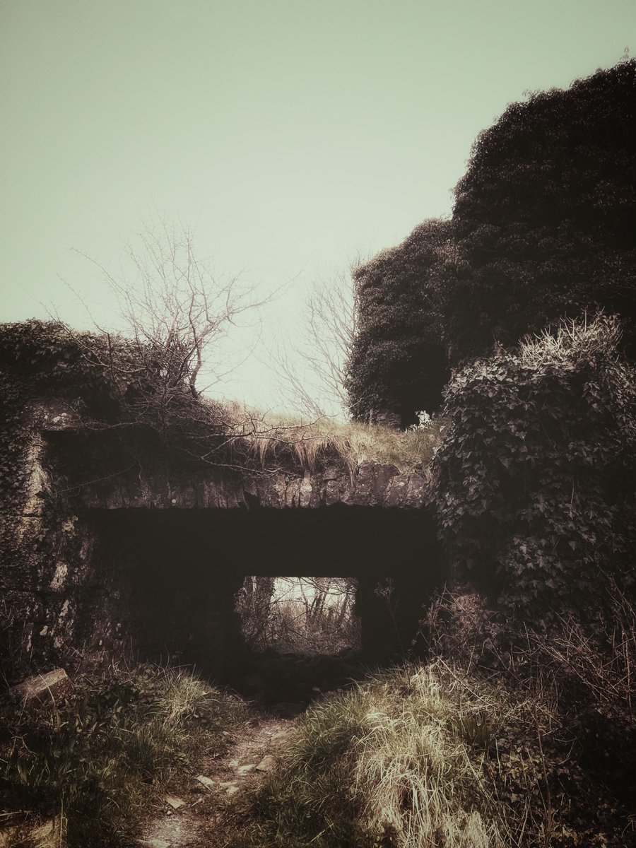 a_socialworld's tweet photo. New blog post,

A flit down the ruins, the wrong field and Little Milford woods.

#Pembrokeshire 

🔗 https://t.co/IhxILvkVuT https://t.co/jemdhZqt53