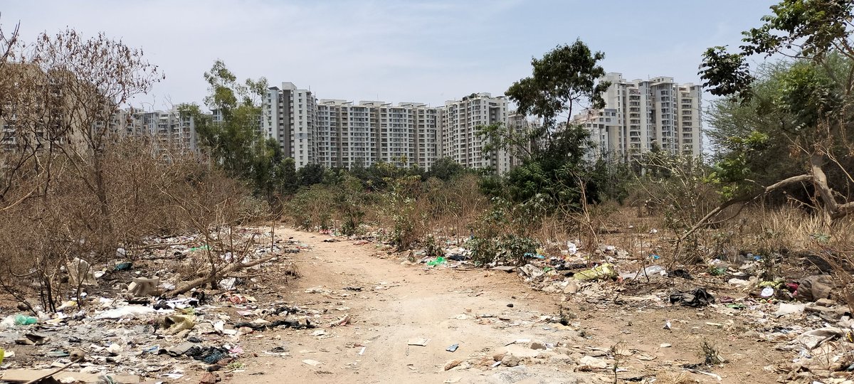 IT Capital of India. Condition of Electronic City Phase 1 , Neeladri Road surroundings. Panchayat must be earning so much revenue with all the tax that gets collected. And here is what citizens get in return. #electroniccity #Bengaluru @CMofKarnataka