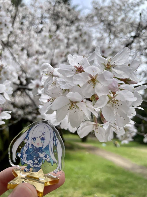 春だ〜 