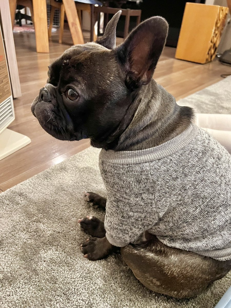 そろそろヒーター片付けちゃうの？👀