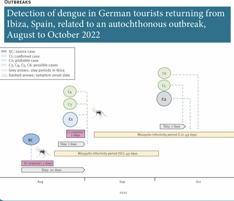 🦟🦠 Do you want to learn more about the first local #dengue outbreak on #Ibiza (Balearic Islands, Spain) in 2022⁉️ 👉🏻 Check: eurosurveillance.org/content/10.280… #AedesAlbopictus #Arboviruses #VectorControl