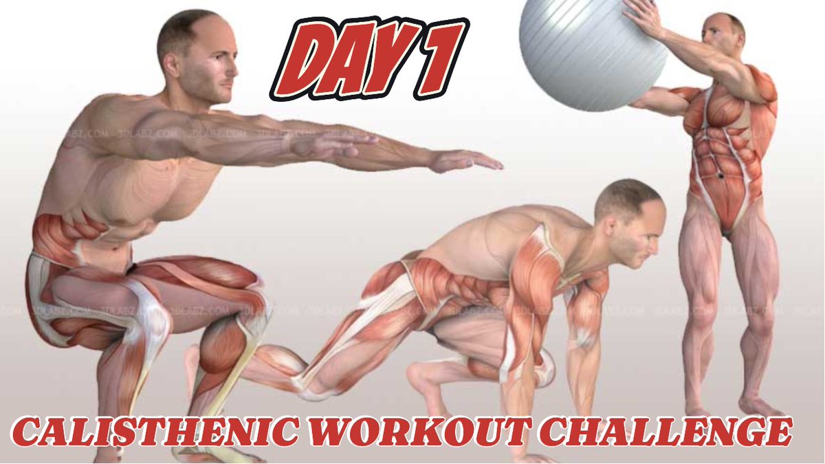 Day 1.Callisthenic workout challenge. #calisthenic #workout #fitness #gym #workoutfromhome #trending