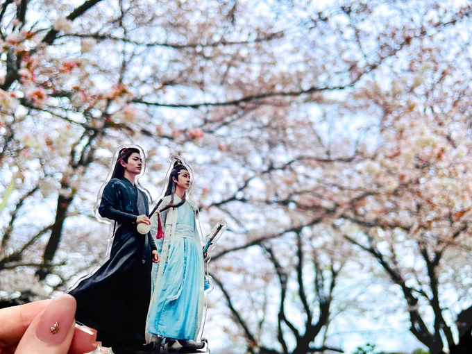桜だよ知己にピントを合わせるとこうなる 