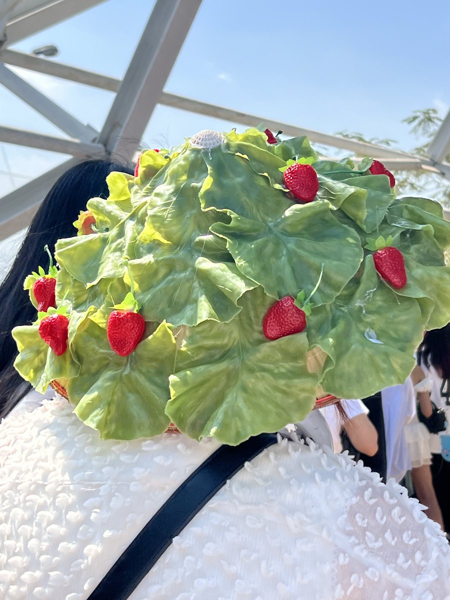 litolbobohu's tweet photo. 🍓🥬 https://t.co/BHwUCmKJ8w