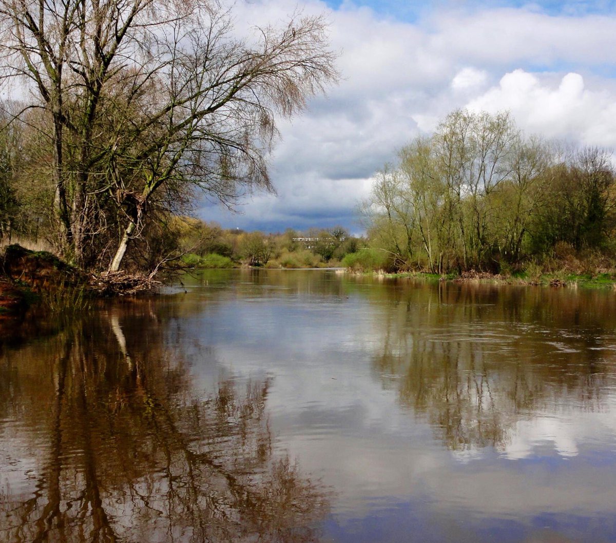 The River Eden near Carlisle looking like a painting.