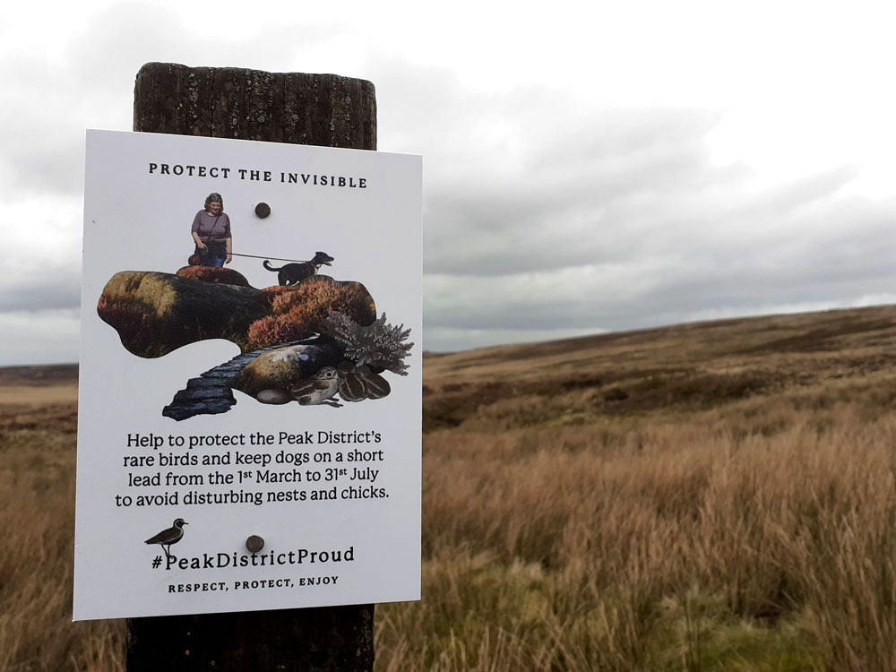 Longer spring days mean the arrival of both lambs 🐑 in the landscape and ground-nesting birds 🐣 seeking a summer home, often unseen! So when you're out in the #PeakDistrict... 🐶 Keep dogs on a short lead 🥾 Keep to the signposted paths 🚯 Take home what you bring