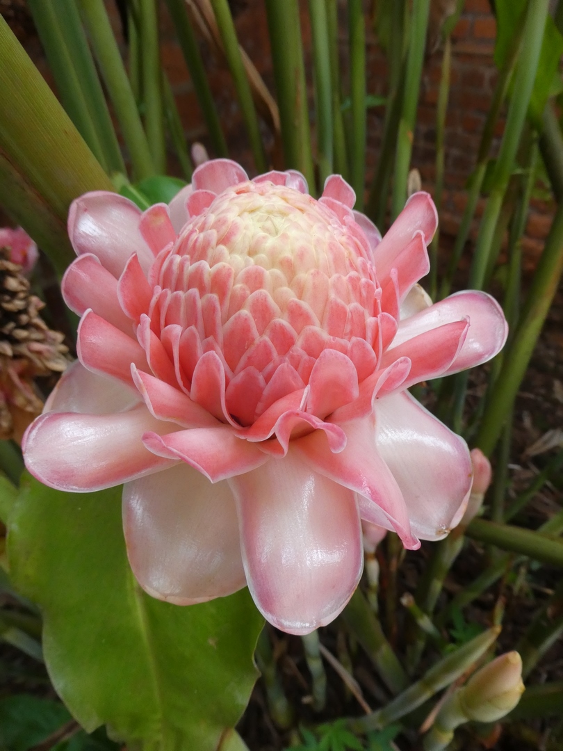 después de Bozoum, en vivo desde Bangassou: 
De Baoro a Bangassou
<a href="/FBangassou/">Fundacion Bangassou</a> 
bozoum-espanol.blogspot.com/2024/04/de-bao…