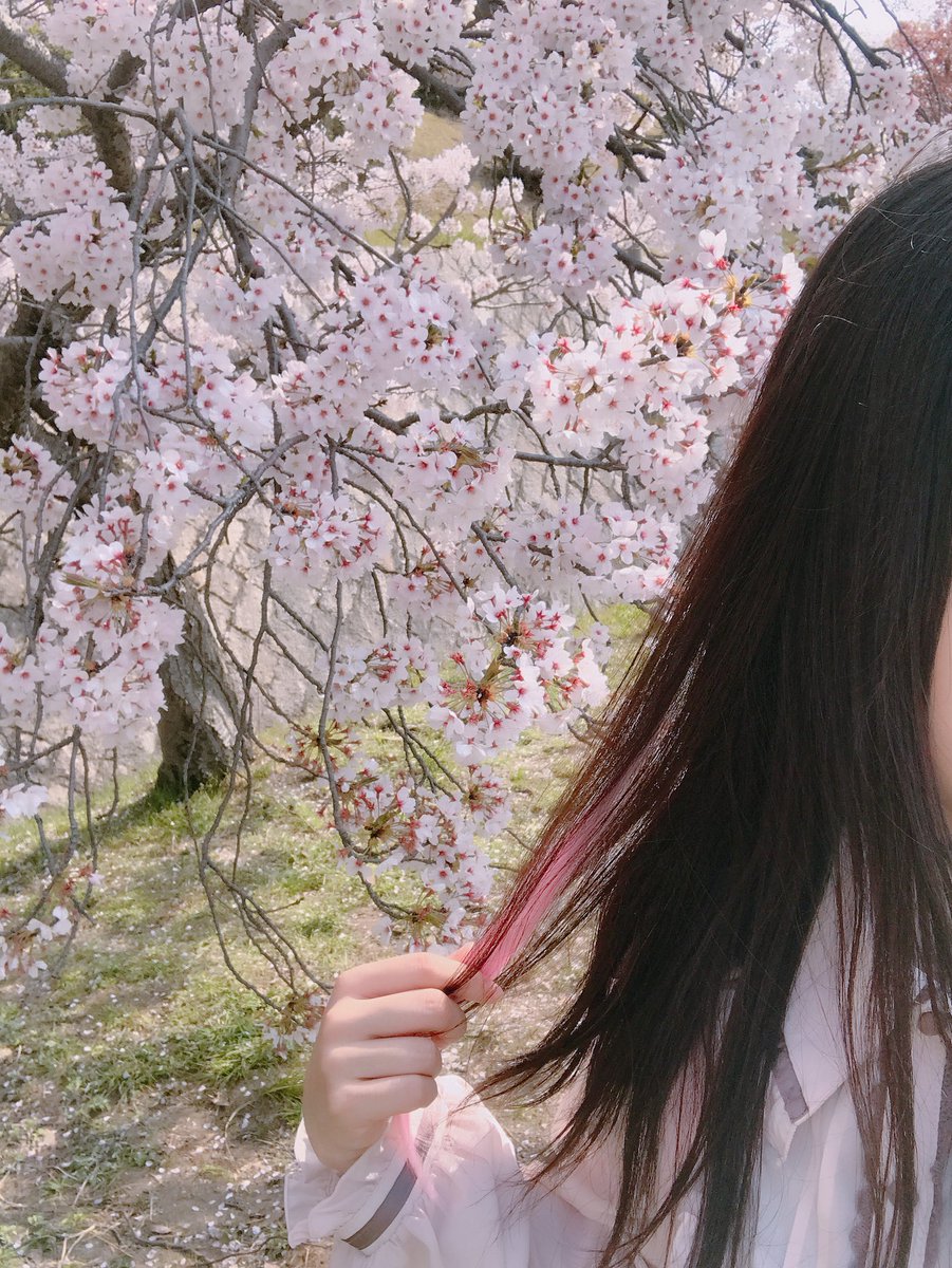 マ ン凸企画するー🧡

いいねしてくれた方に秒でプレゼントする🎁
ふぉろーもした人にはとっておきも送っちゃおうかな☘️